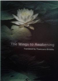 Image of The wings to awakening
