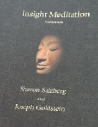 Image of Insight Meditation: A Step-By-Step Course on How to Meditate